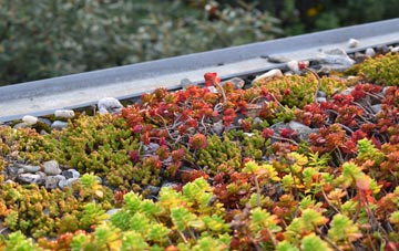 the cost of Greenisland green roof installation