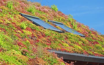 Greenisland living roof systems