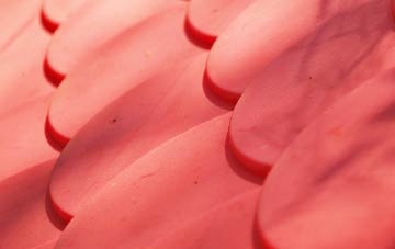 Greenisland plastic roof costs