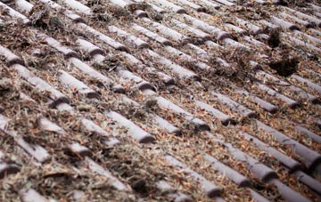 Greenisland roof cleaning companies