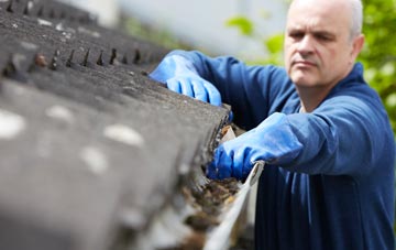cleaning and inspecting Greenisland roofs