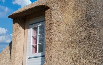 Greenisland thatch roof disadvantages