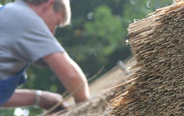 professional Greenisland thatchers