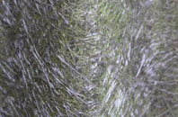 Greenisland fibreglass roof work