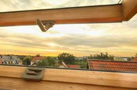 rated Greenisland roof window companies